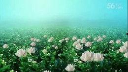 日韩国产 第3页